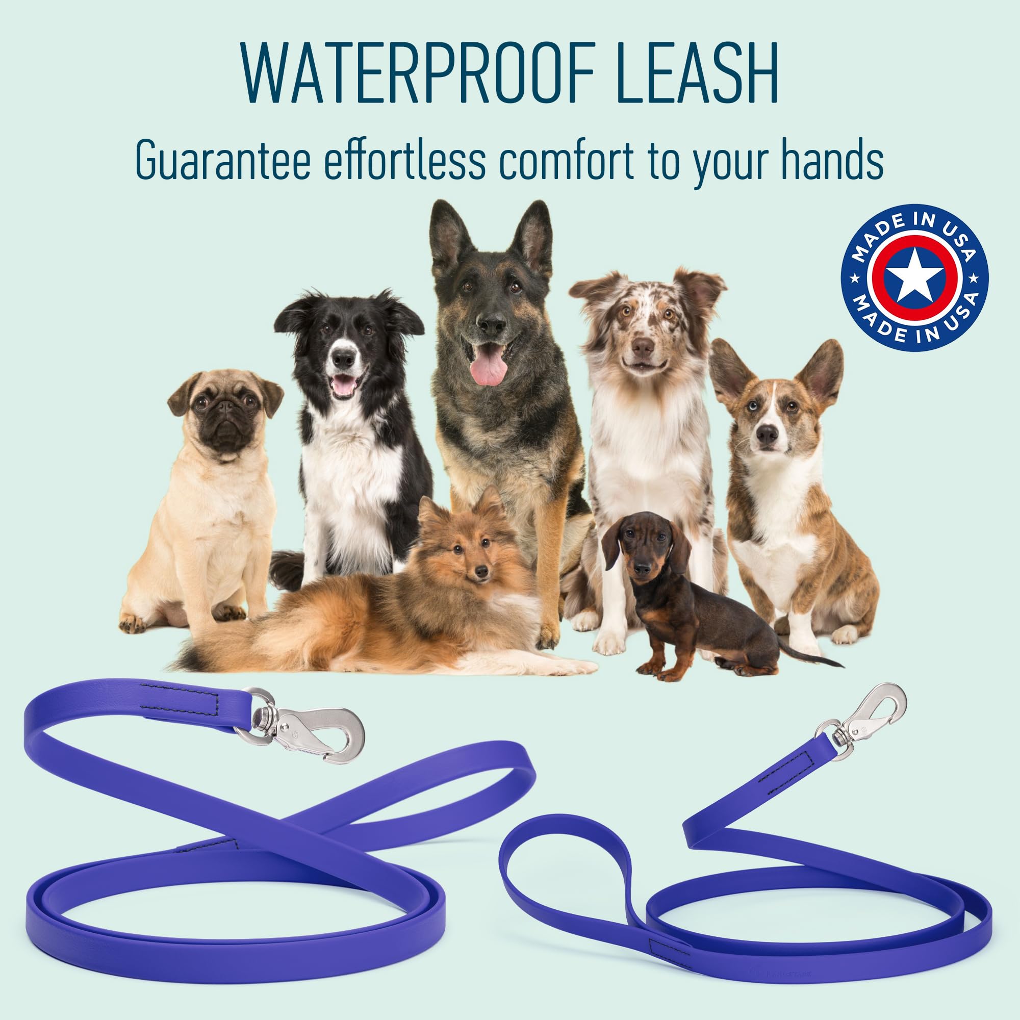 Longe adaptée pour chiens moyens et grands, longueur 6 pieds RandStark.