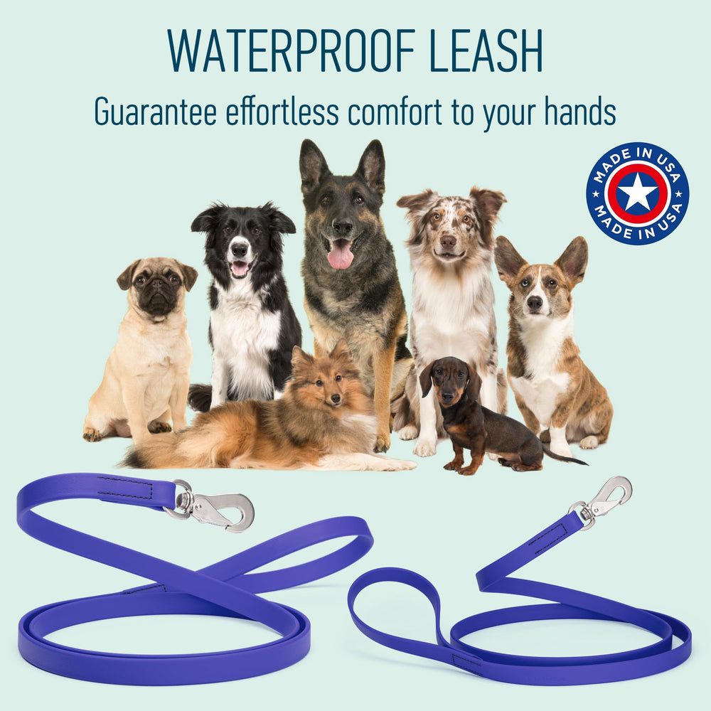 Longe adaptée pour chiens moyens et grands, longueur 6 pieds RandStark.