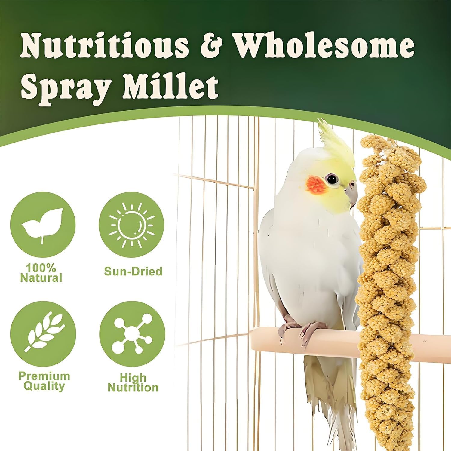 RANZ Millet Spray stimule la recherche de nourriture des oiseaux.