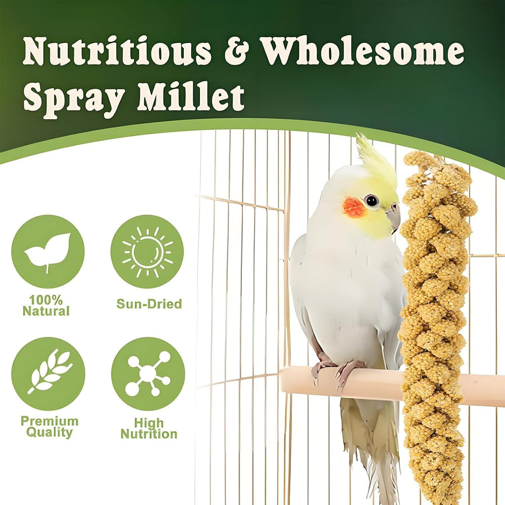 RANZ Millet Spray stimule la recherche de nourriture des oiseaux.