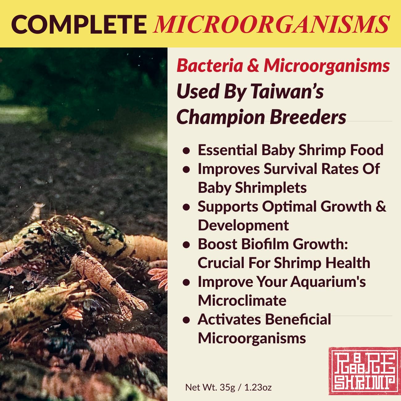 Rare Shrimp biofilm couches montre des zones nourrissantes pour les crevettes.