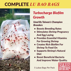 Rare Shrimp biofilm en action – améliore l'équilibre biologique de l'aquarium.