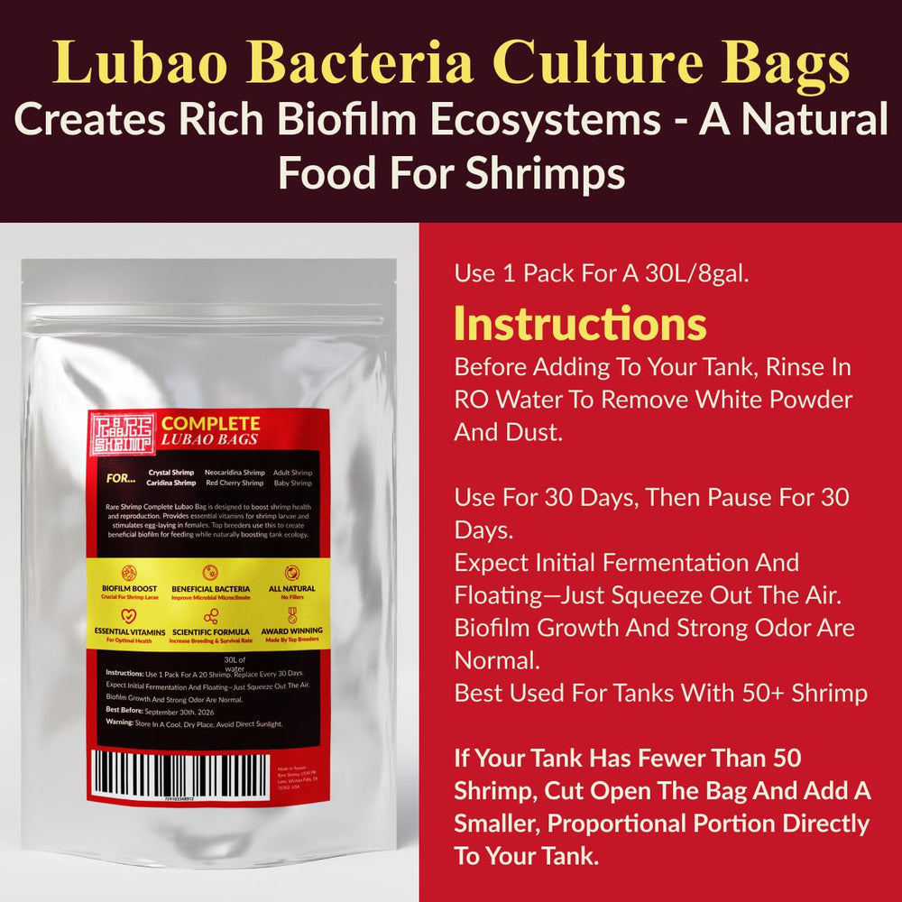Rare Shrimp biofilm-ecosysteme-naturel: équilibre biologique du bac.