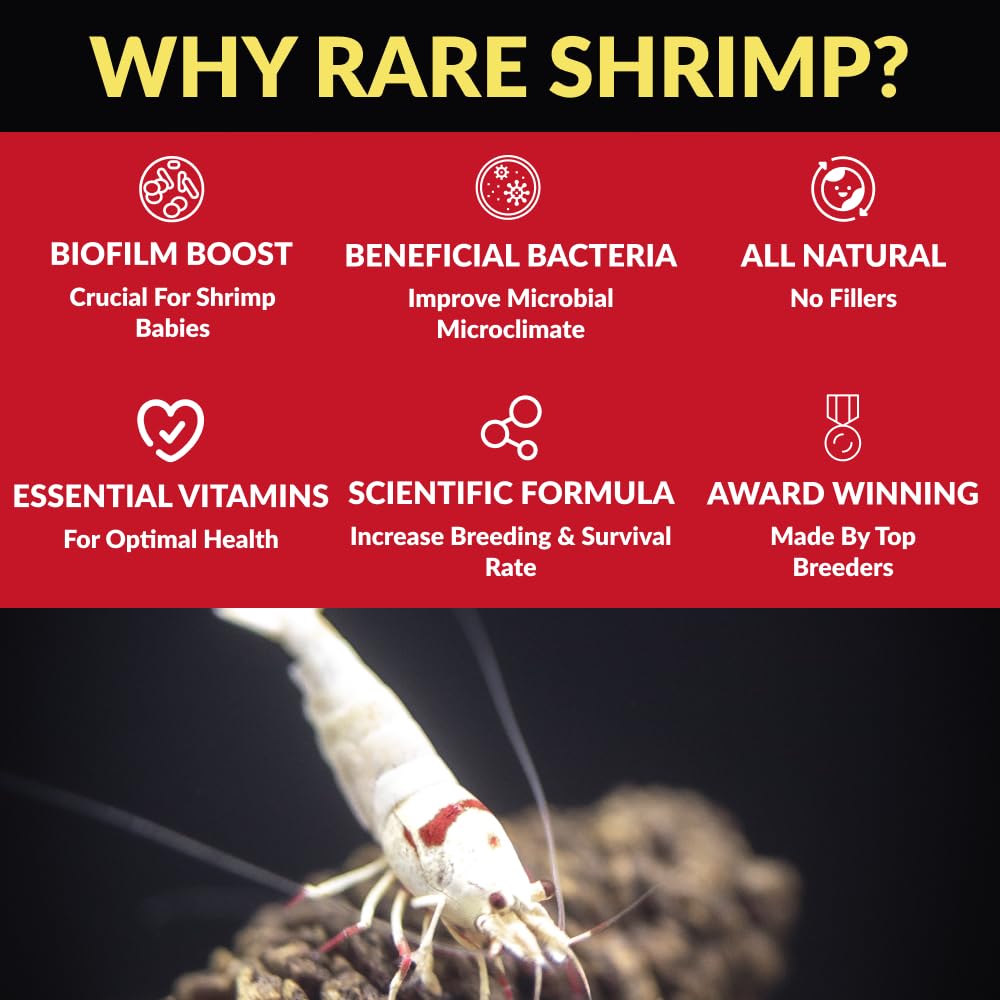 Rare Shrimp controle-qualite-eau-bac: contribue à un environnement plus stable.