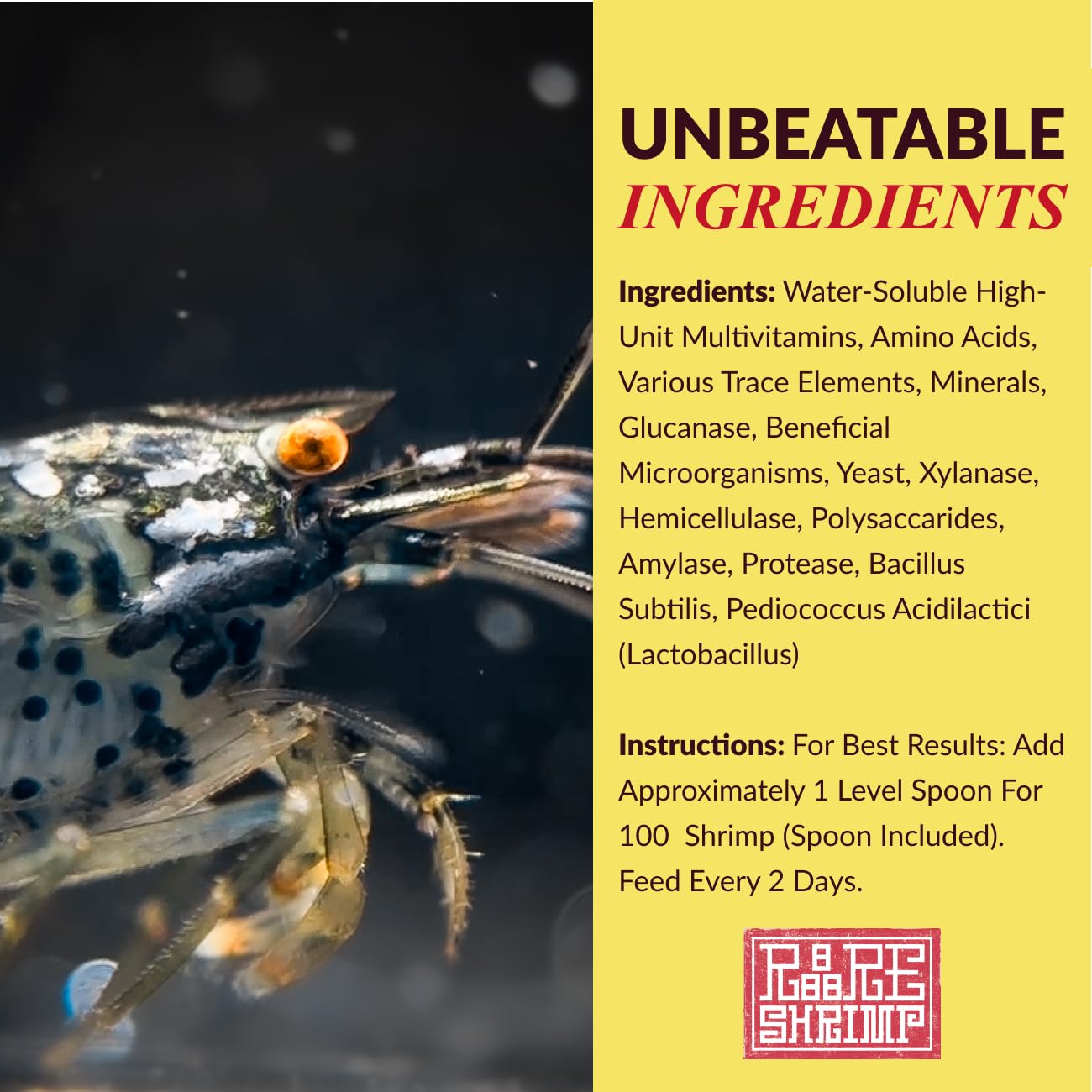 Rare Shrimp ecosysteme microorganismes établit un microbiome bénéfique dans l'aquarium.