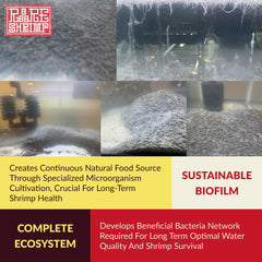 Rare Shrimp Formule concours : adaptée aux colonies Caridina et Neocaridina