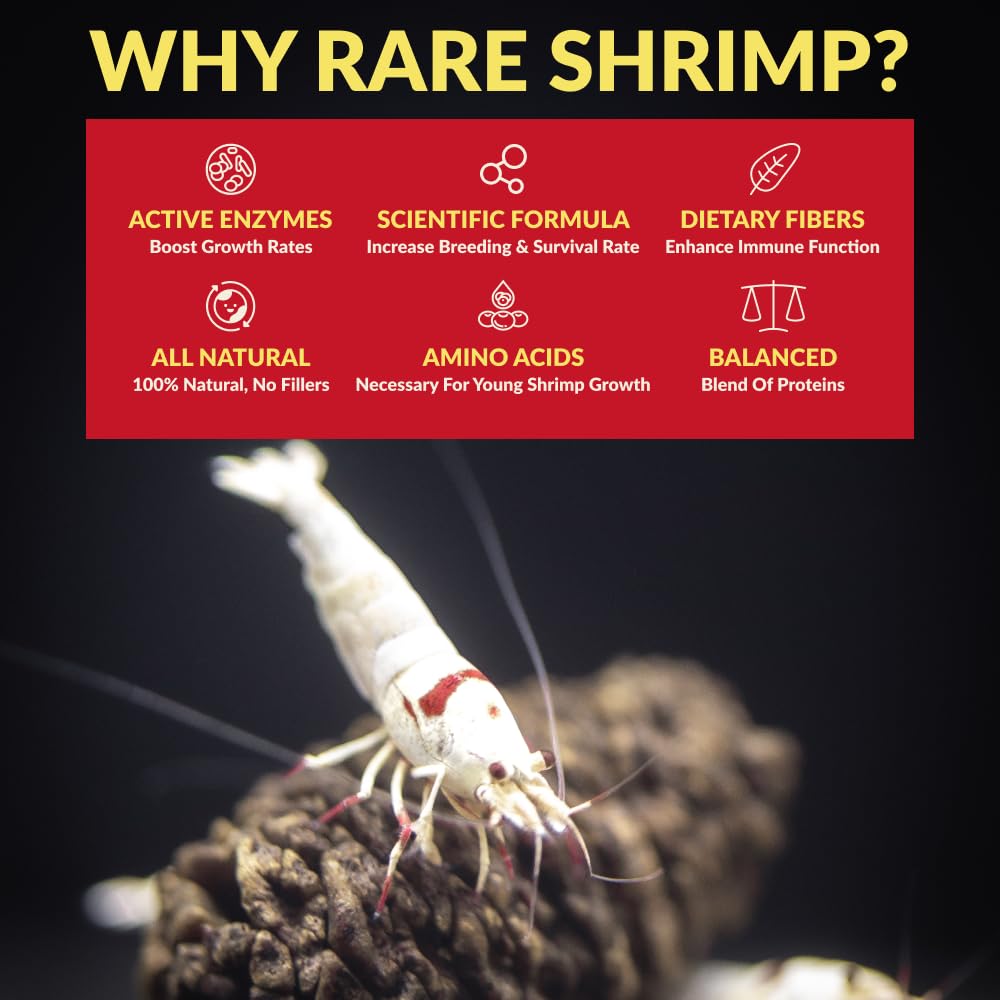 Rare Shrimp formule à écoulement silencieux—pellets coulent sans nuage pour eau claire.