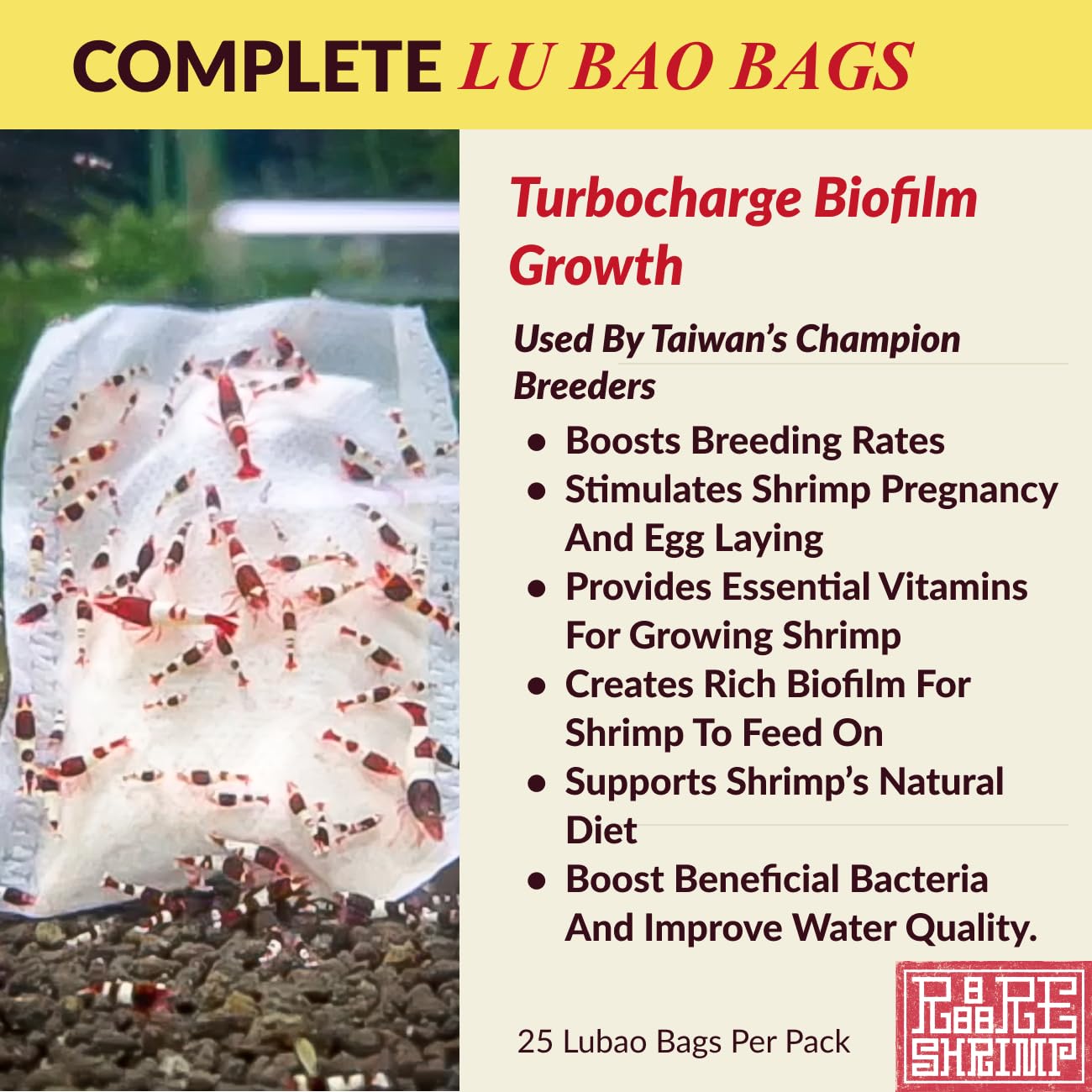 Rare Shrimp granulés-nourriture-biofilm: nutrition pratique pour les colonies.