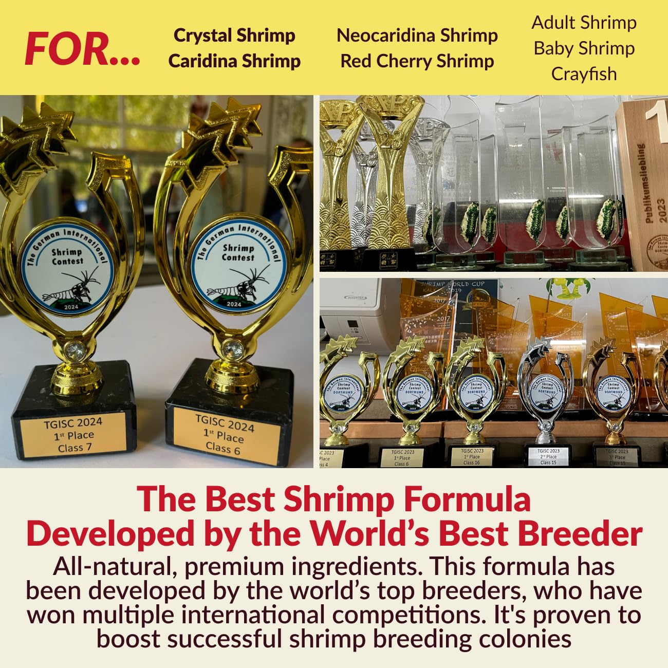Rare Shrimp nutriments-vitamines-soutien-mue-repro: soutien potentiel pour la vie des crevettes.