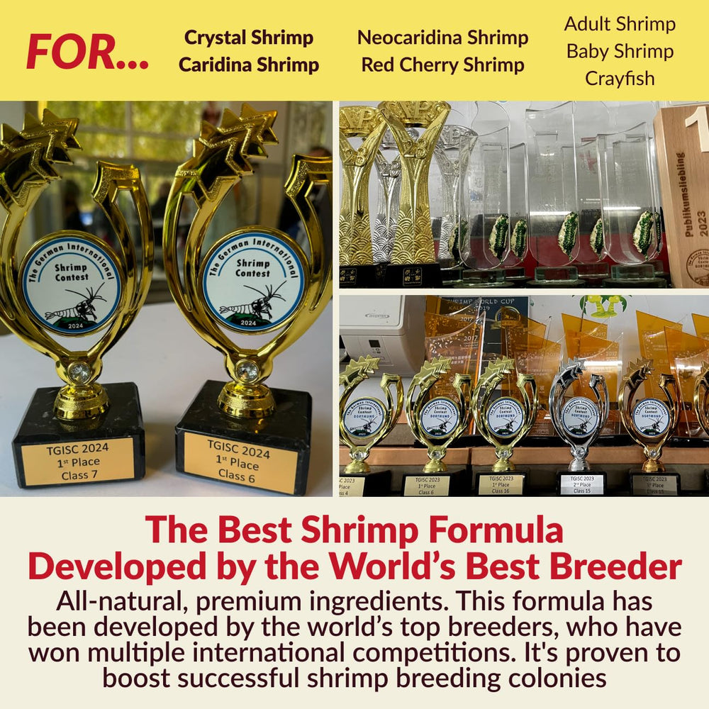 Rare Shrimp nutriments-vitamines-soutien-mue-repro: soutien potentiel pour la vie des crevettes.