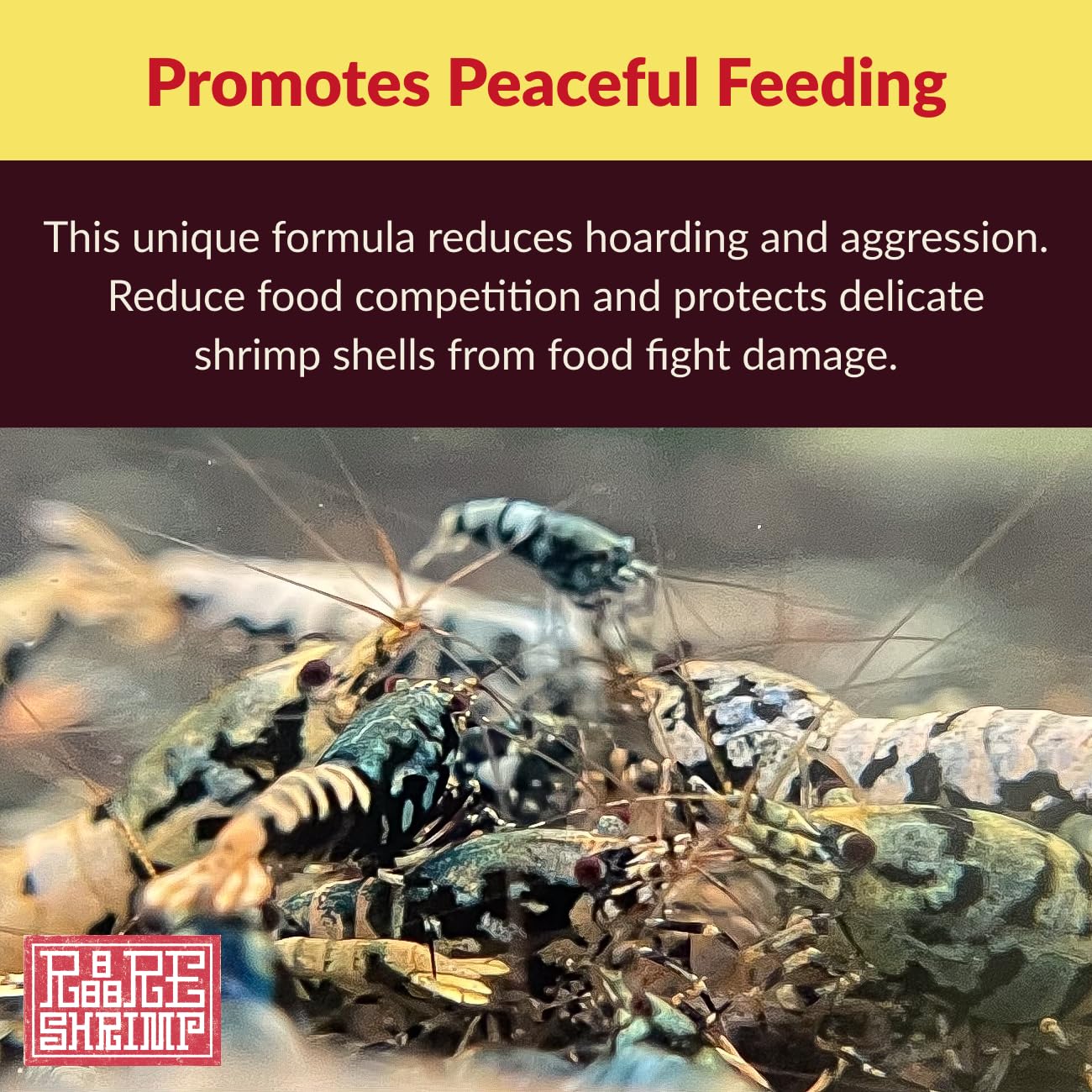 Rare Shrimp pellets coulants lentement—pratique pour nourrir sans troubler l'eau.
