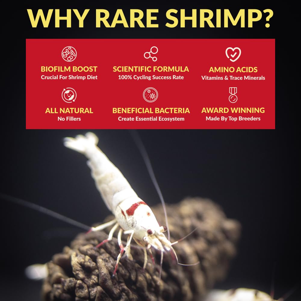 Rare Shrimp Prévention des déficits : réduction des pertes possibles