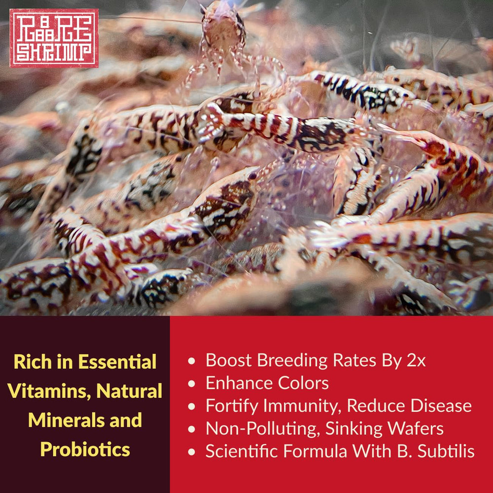 Rare Shrimp soutien nutritionnel riche en vitamines et minéraux pour crevettes ornamentales.
