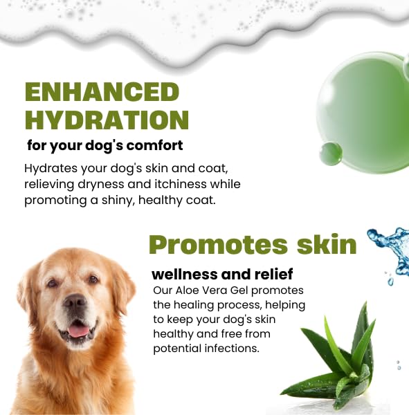 Application Raslok Aloe Vera sur la peau du chien pour apaiser les irritations