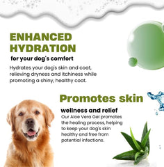 Application Raslok Aloe Vera sur la peau du chien pour apaiser les irritations