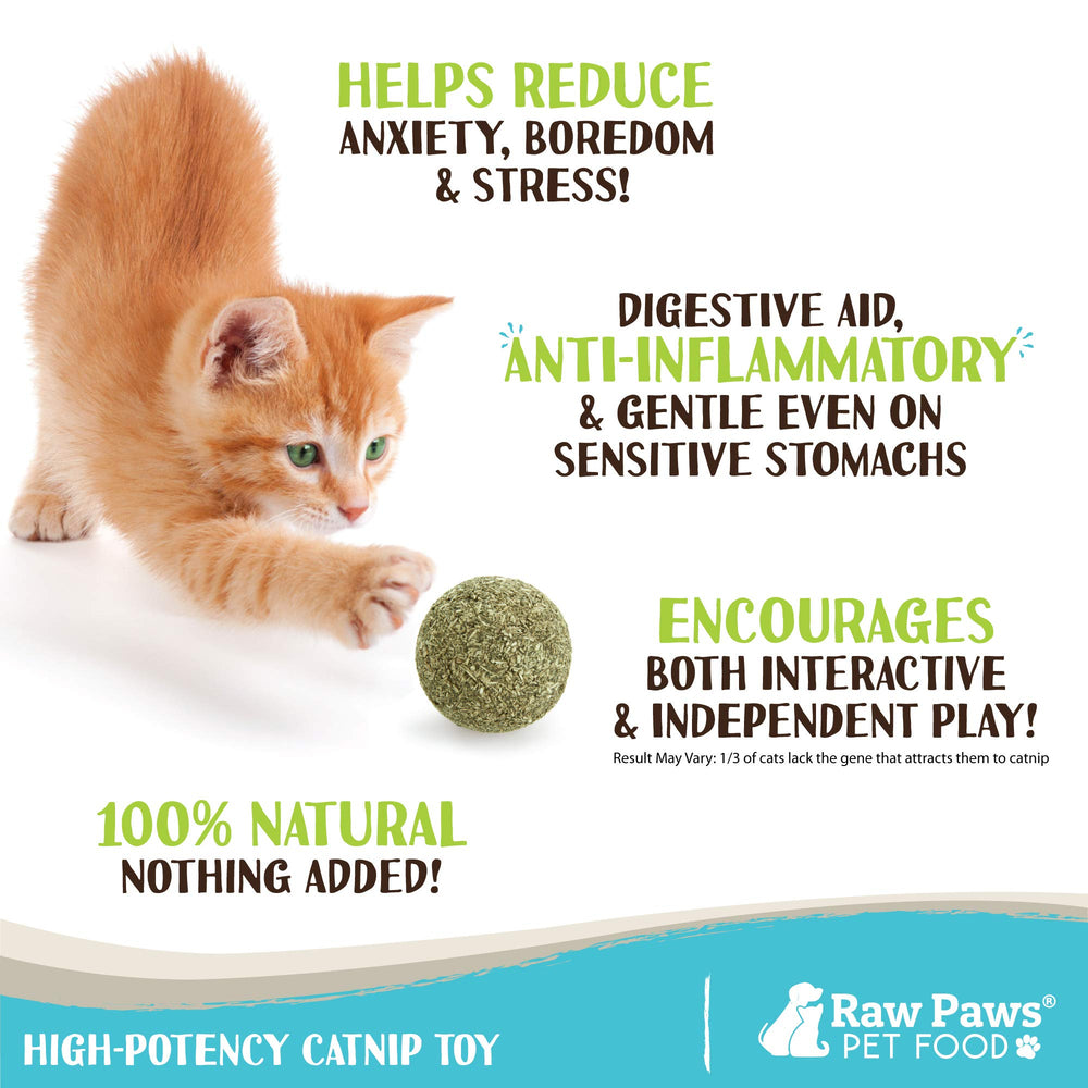 Raw Paws Balles d'Herbe à Chat – emballage visible, pratique pour ranger et transporter.