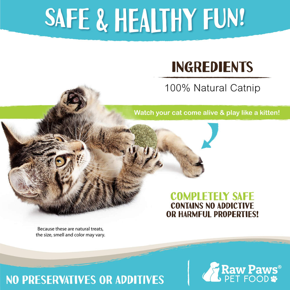 Raw Paws Balles d'Herbe à Chat – jouet interactif, incite à l’activité physique.