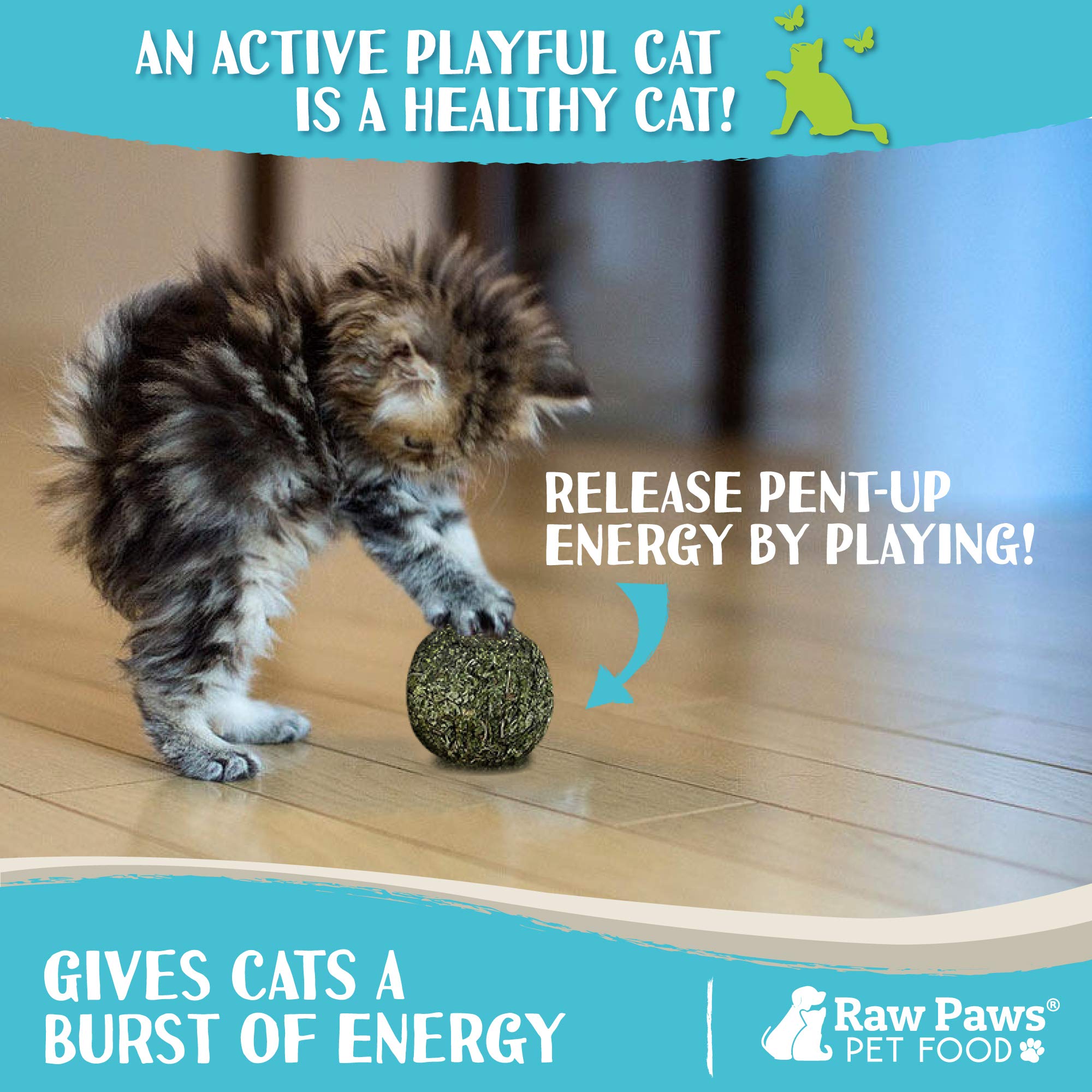 Raw Paws Balles d'Herbe à Chat – usage quotidien, peut aider à réduire le stress en intérieur.