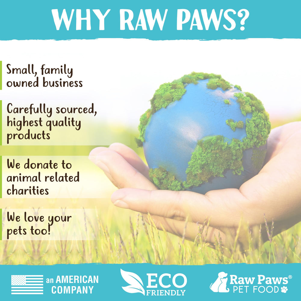 Raw Paws Bâtonnets de bœuf ingrédient unique: simplicité et sécurité