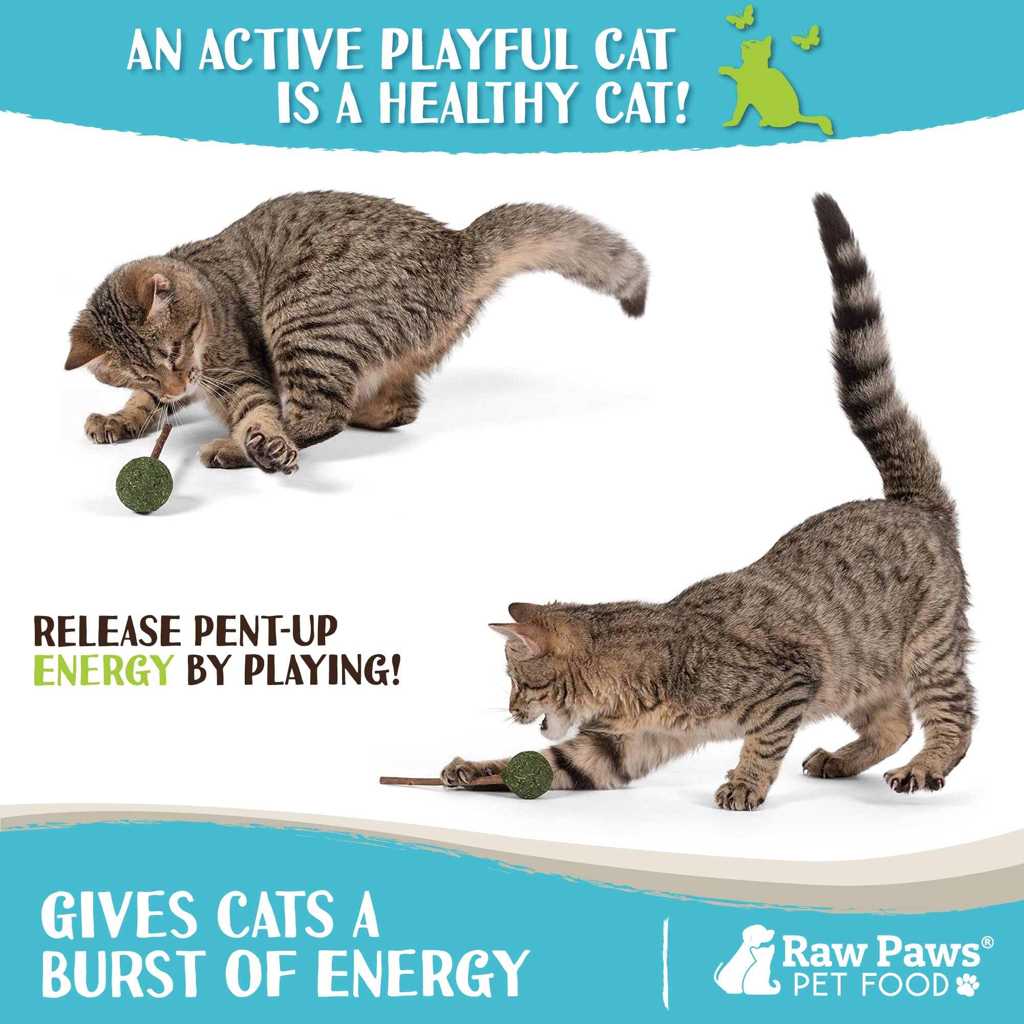 Raw Paws bâtons dentaires matatabi : confort buccal et digestion légère.