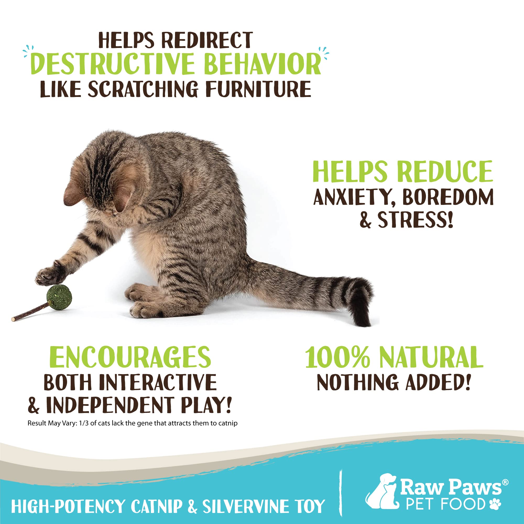 Raw Paws boule de cataire : joue durable pour nettoyage doux des dents.