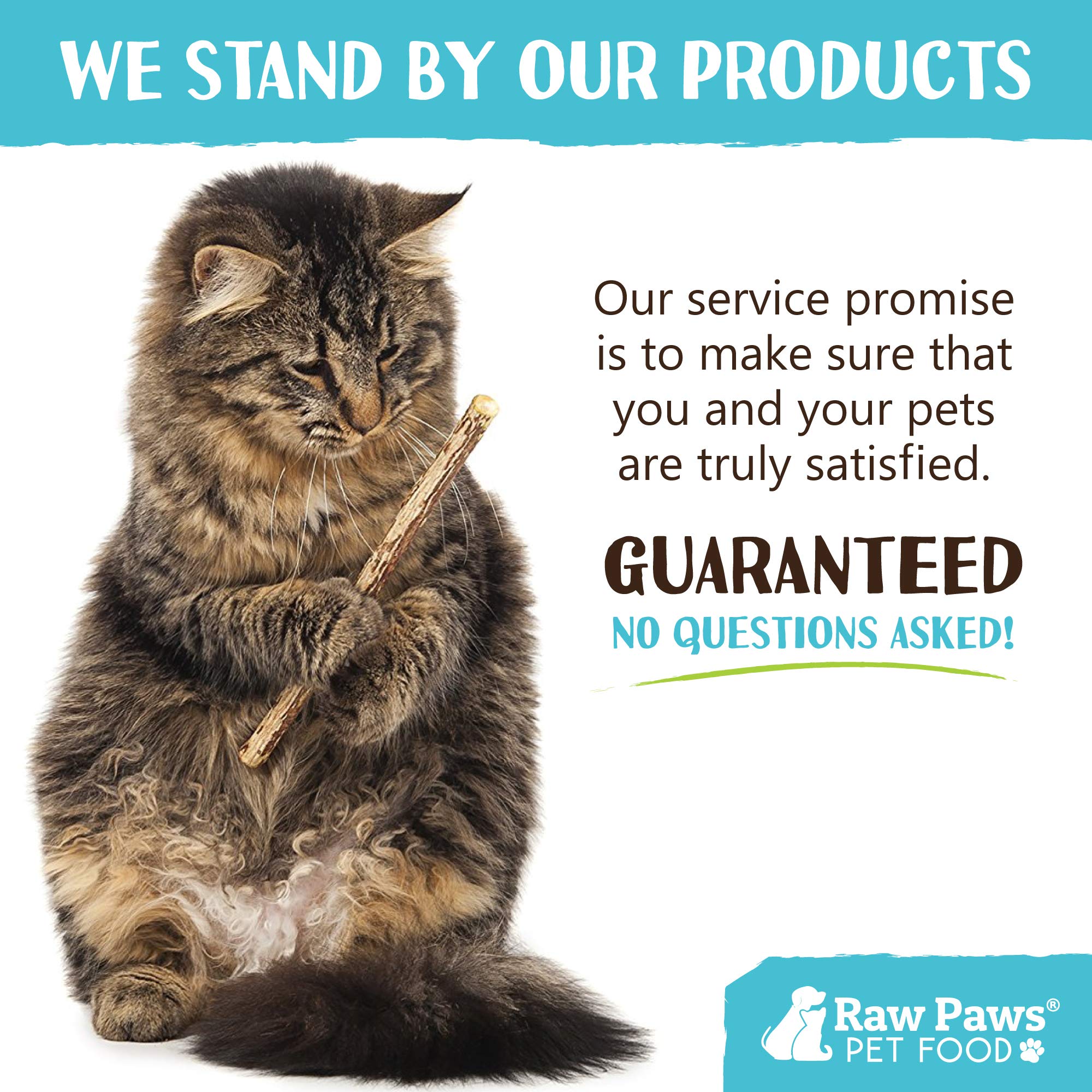 Raw Paws batons silvervine, activité ludique pour chat d’intérieur.
