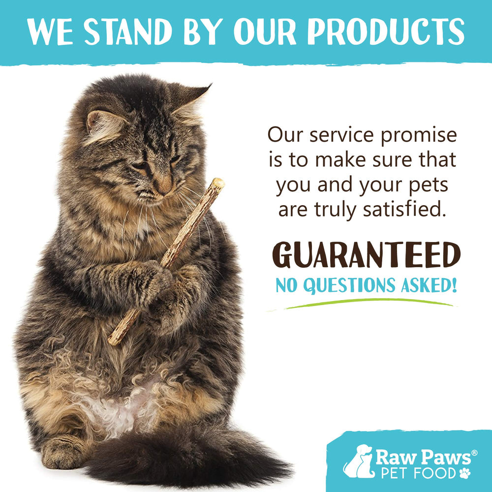Raw Paws batons silvervine, activité ludique pour chat d’intérieur.