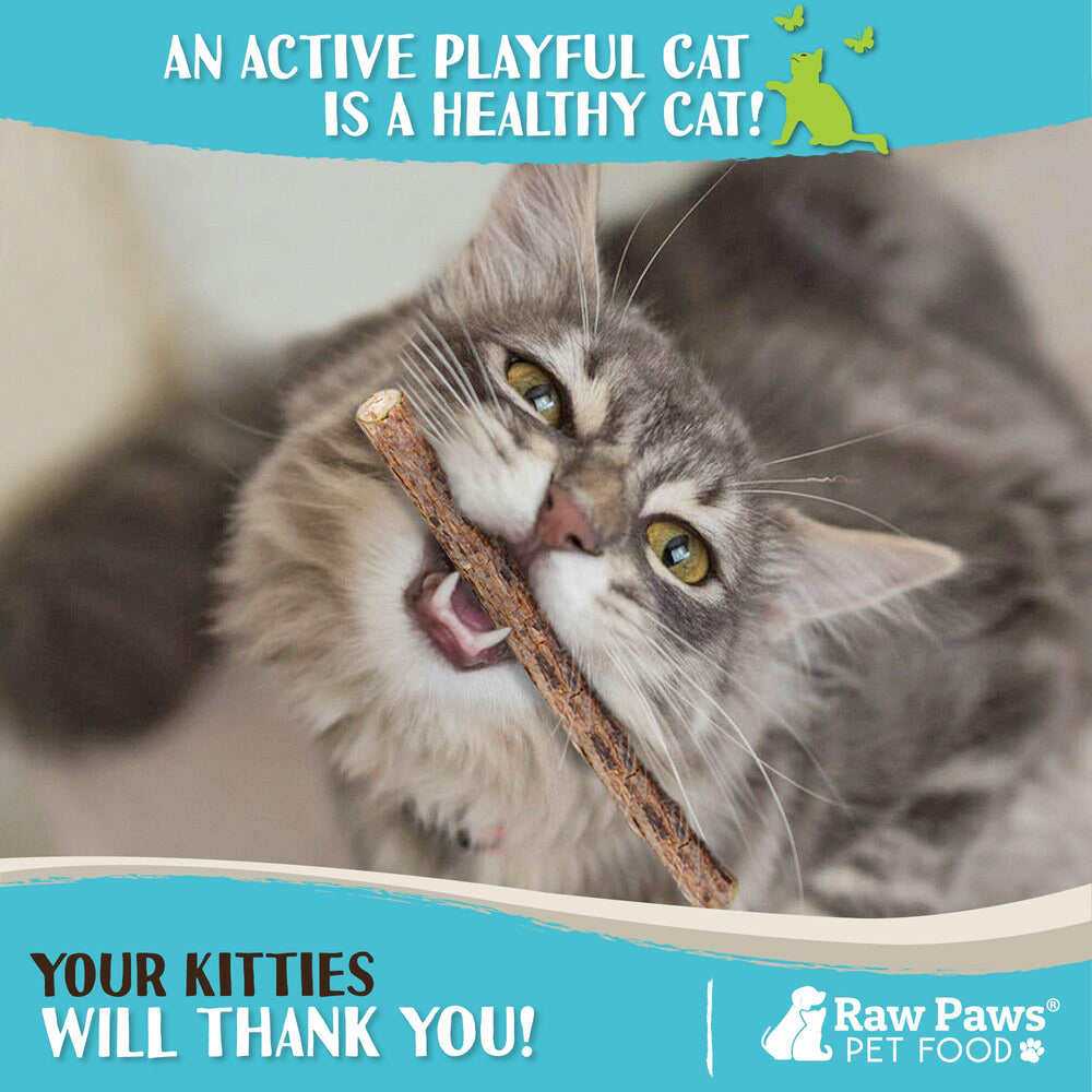Raw Paws batons silvervine, effet anti-stress pour chat d’intérieur.