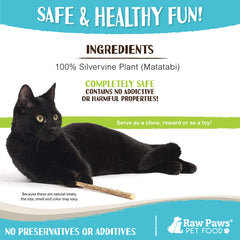 Raw Paws batons silvervine, stimulation de l’activité et mobilité du chat.