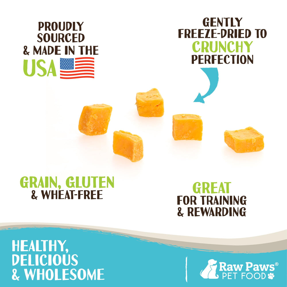 Raw Paws bouchées cheddar en gros plan, riches en calcium pour soutenir muscles et os.