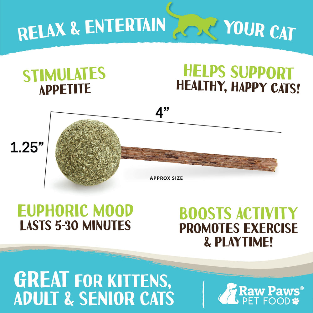 Raw Paws batons matatabi : stimule l’activité et prolonge le jeu.