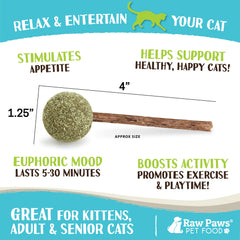 Raw Paws batons matatabi : stimule l’activité et prolonge le jeu.