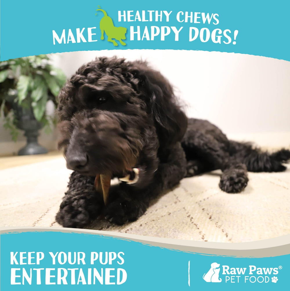 Raw Paws Camel Skin Chews – sans rawhide, idéal pour chiens sensibles.