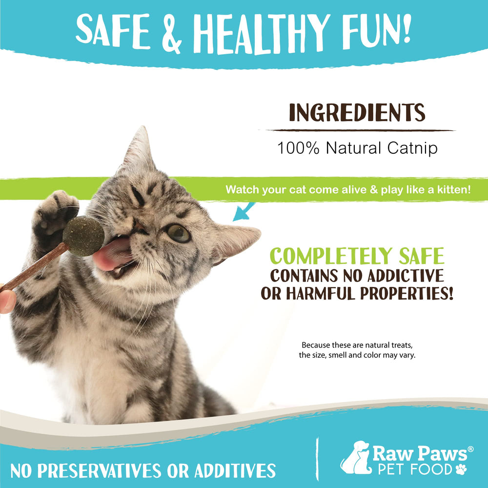 Raw Paws cataire frais : apaise le stress et favorise le jeu.