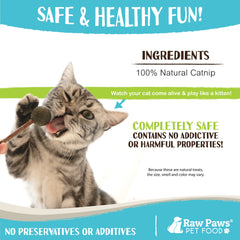 Raw Paws cataire frais : apaise le stress et favorise le jeu.