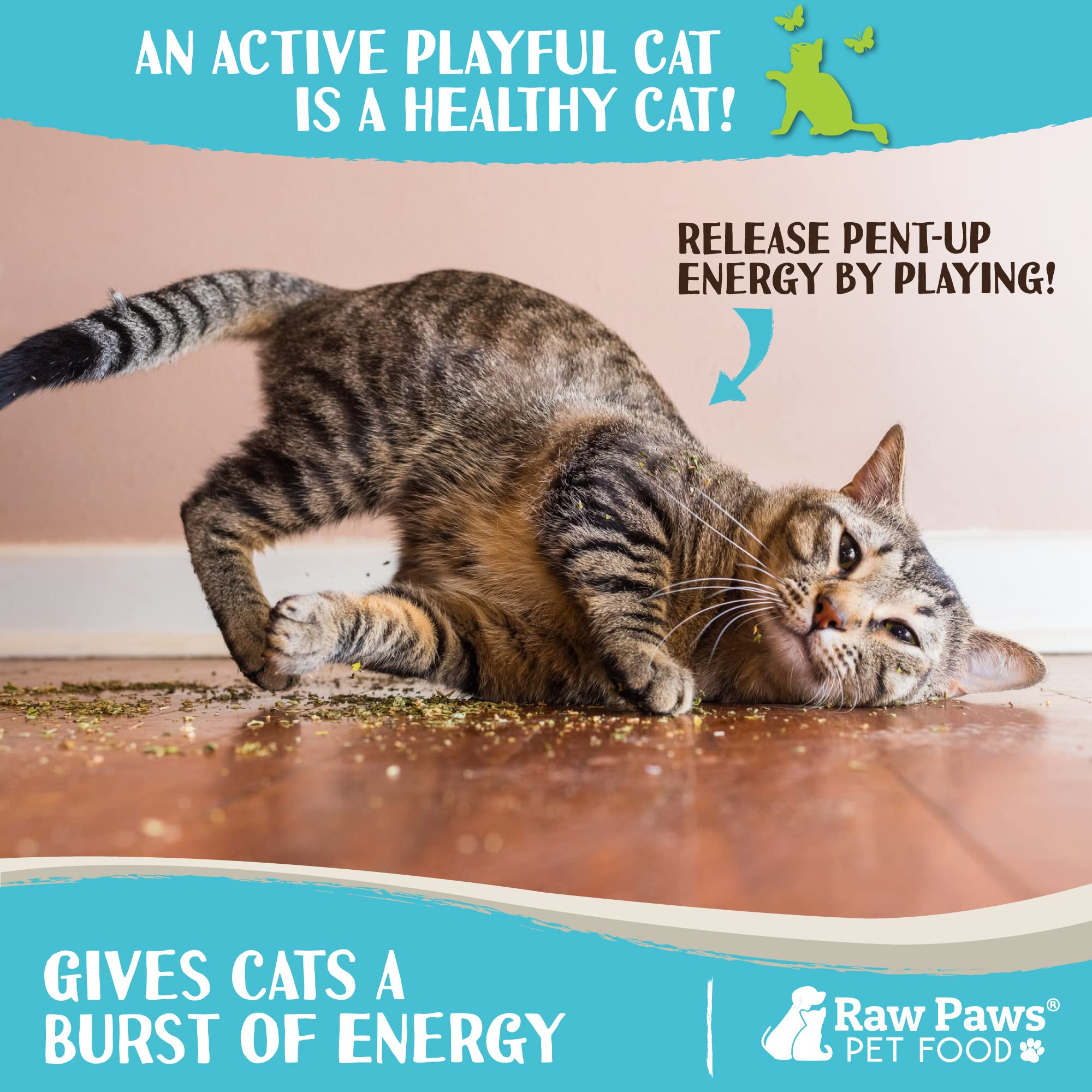 Raw Paws Catnip jouet chat en jeu, stimulation ludique et plaisir.