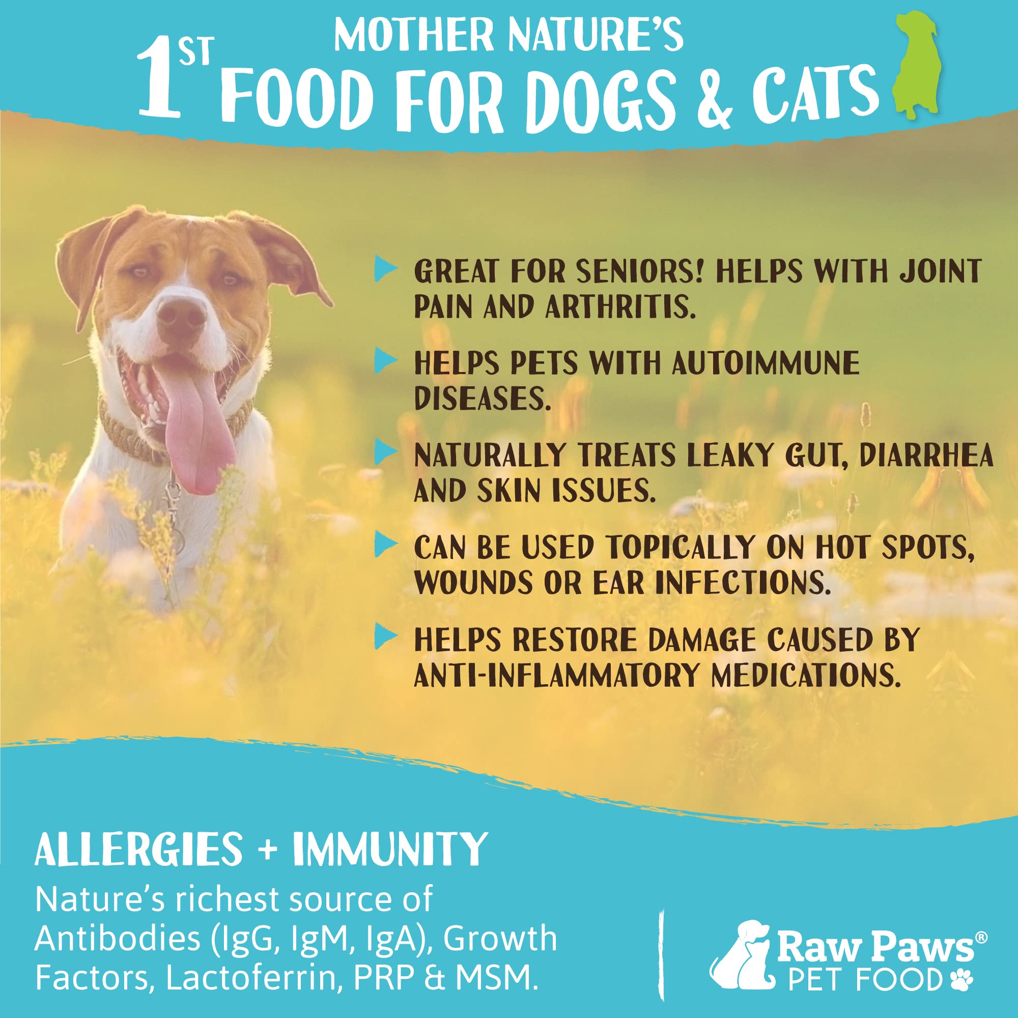 Utilisation quotidienne Raw Paws Colostrum bovin en poudre, digestion et immunité.