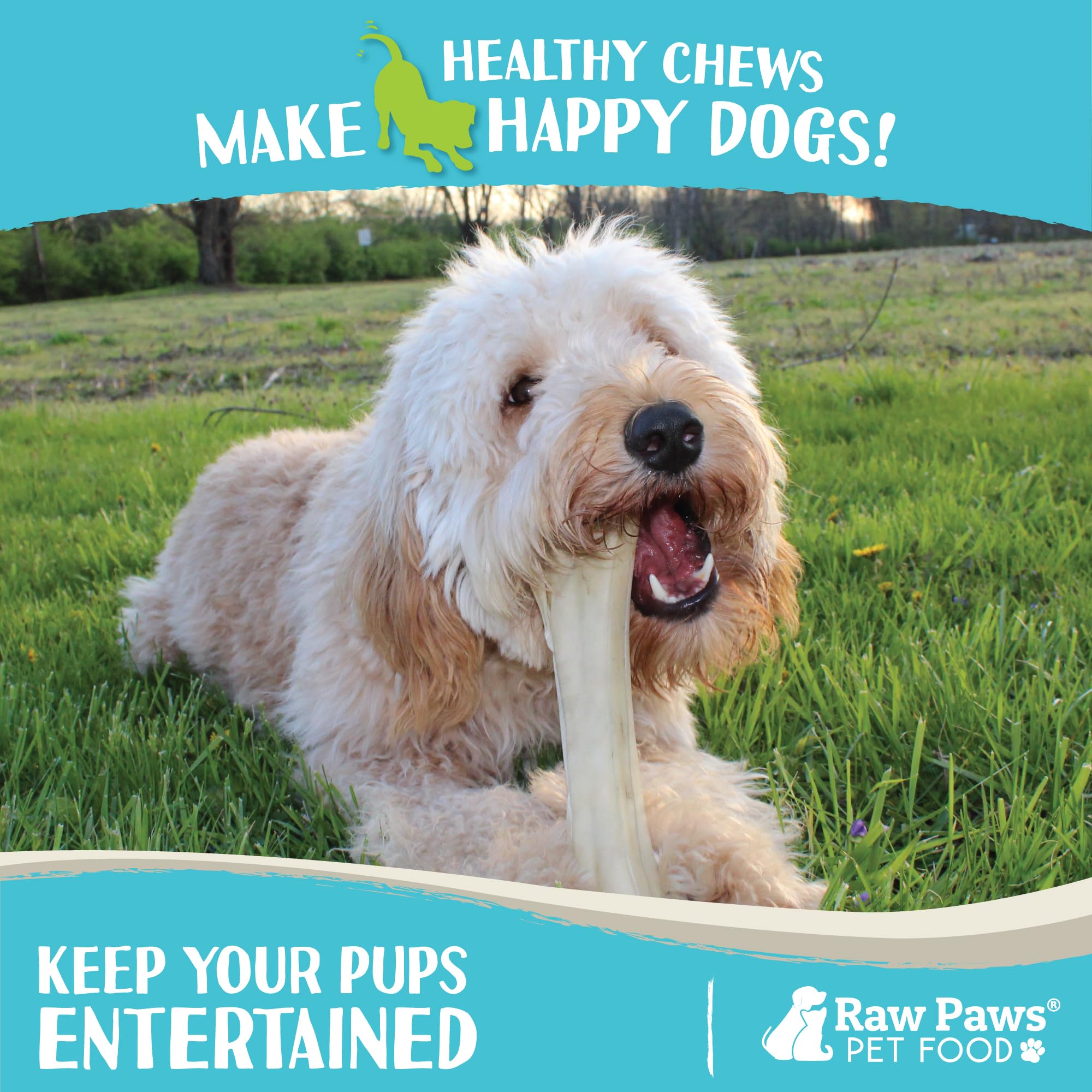Raw Paws dents et gencives: aide au nettoyage lors de la mastication