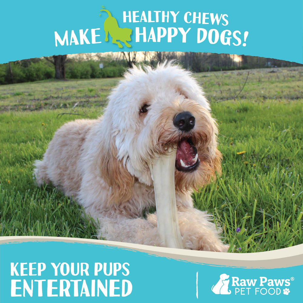 Raw Paws dents et gencives: aide au nettoyage lors de la mastication