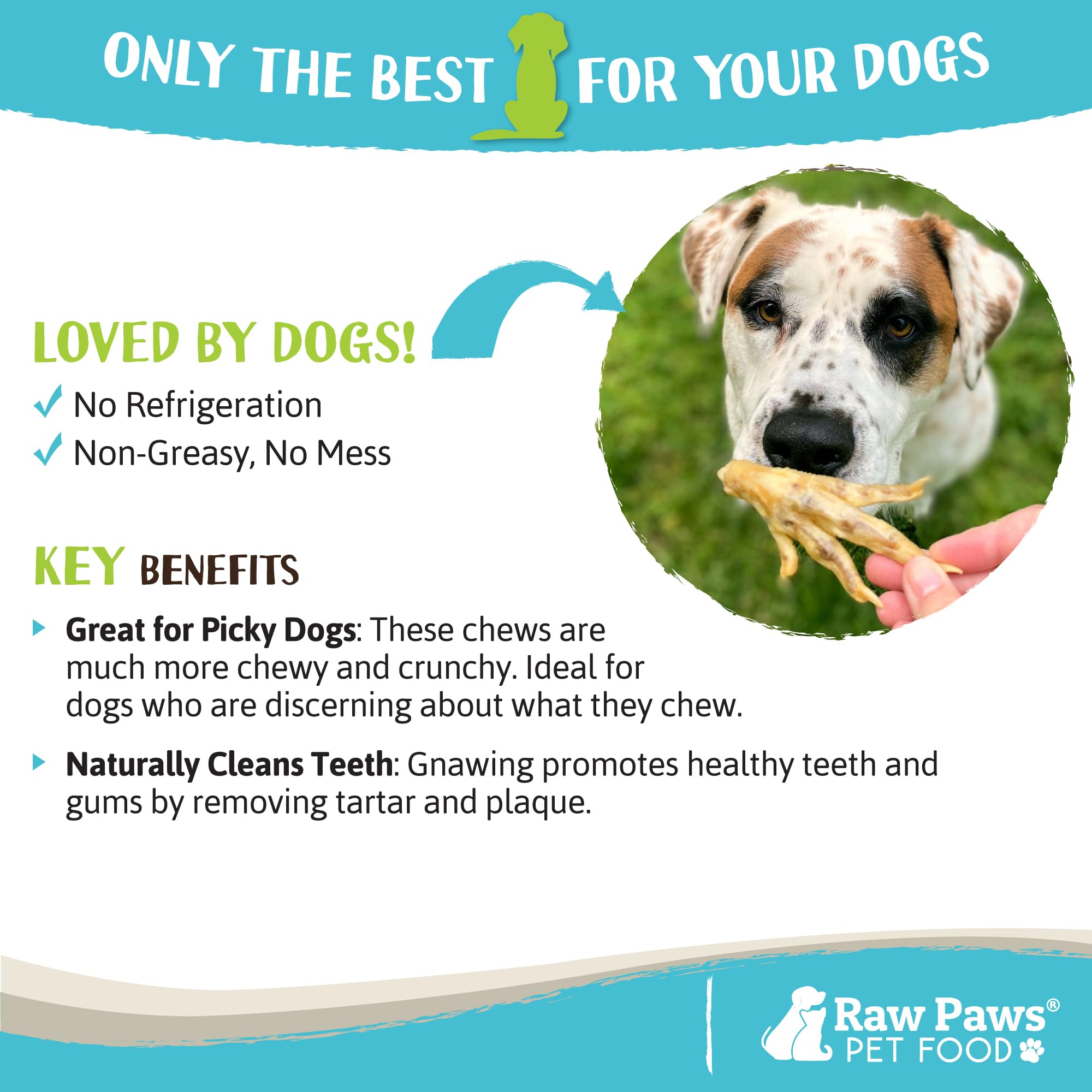 Nettoyage des dents et gencives avec les pieds de poulet Raw Paws.