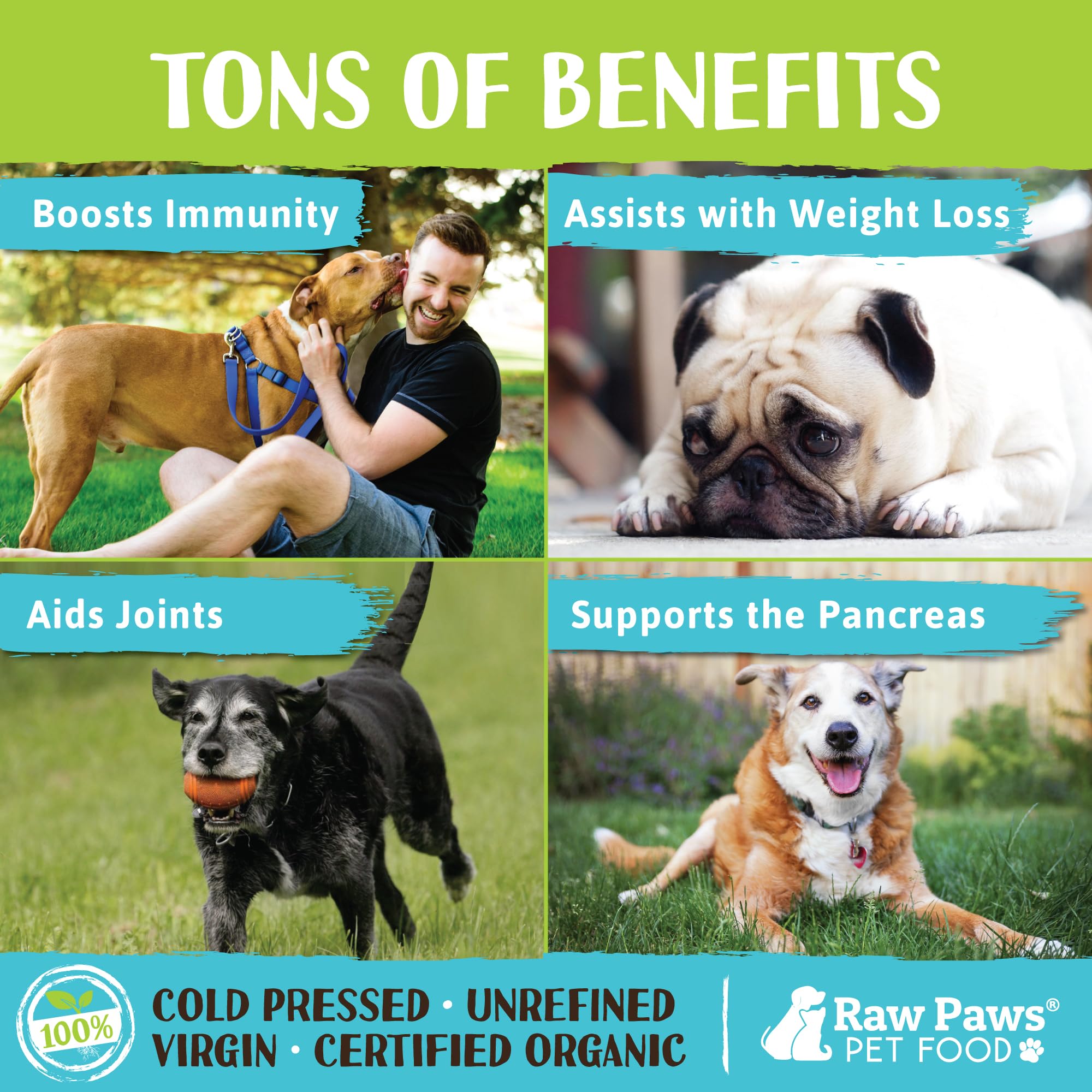 Raw Paws Huile Coco Vierge Bio – application topique sur pelage pour hydratation et confort.