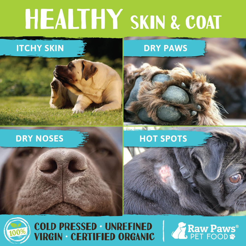 Raw Paws Huile Coco sur pelage: hydratation et douceur du poil.