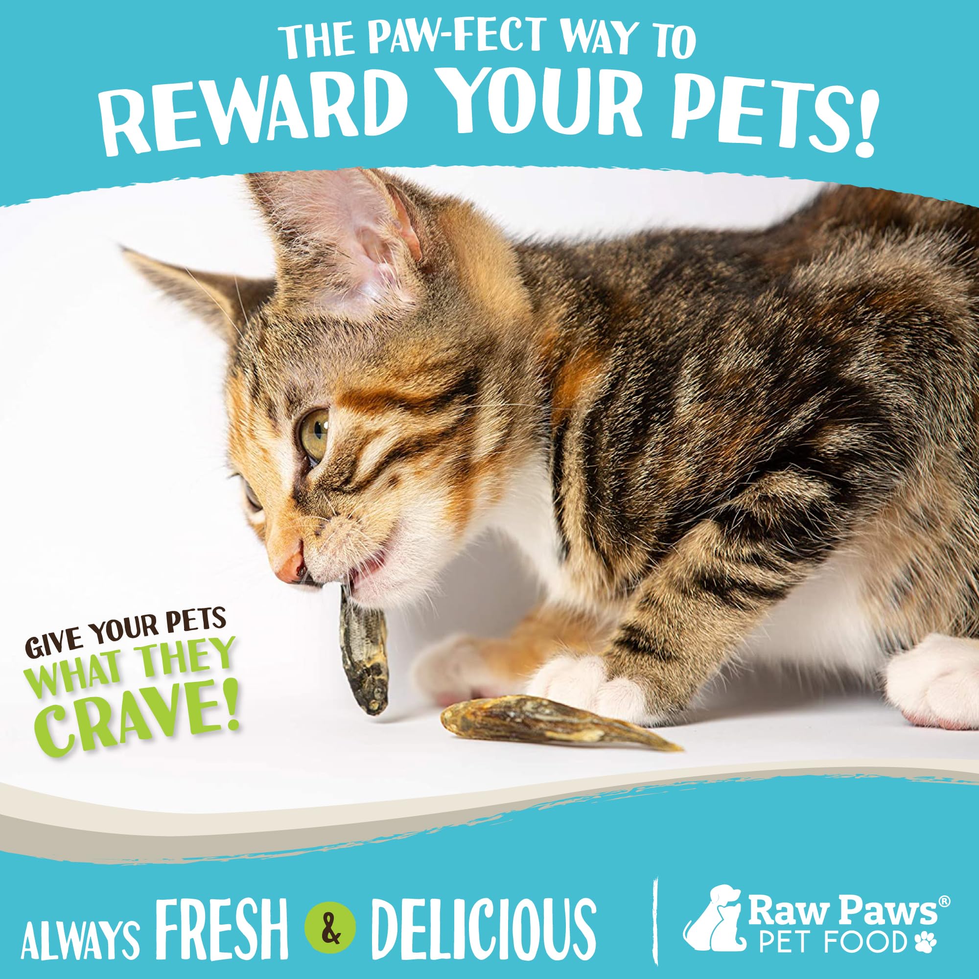 Raw Paws Minnows, poissonnets séchés, sans additifs, collations quotidiennes pratiques.