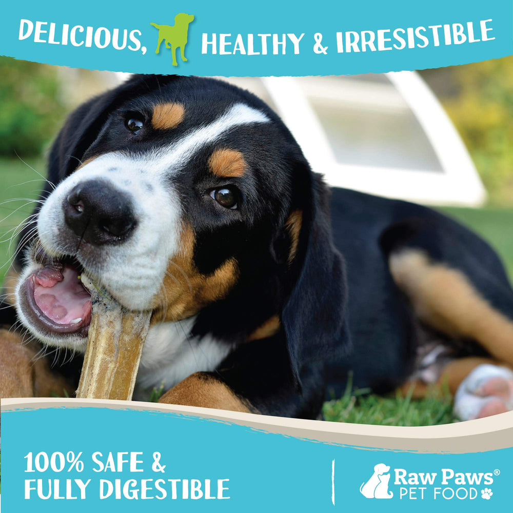 Raw Paws os en cuir brut comprimé pour gros chien, idéal après repas ou en balade.