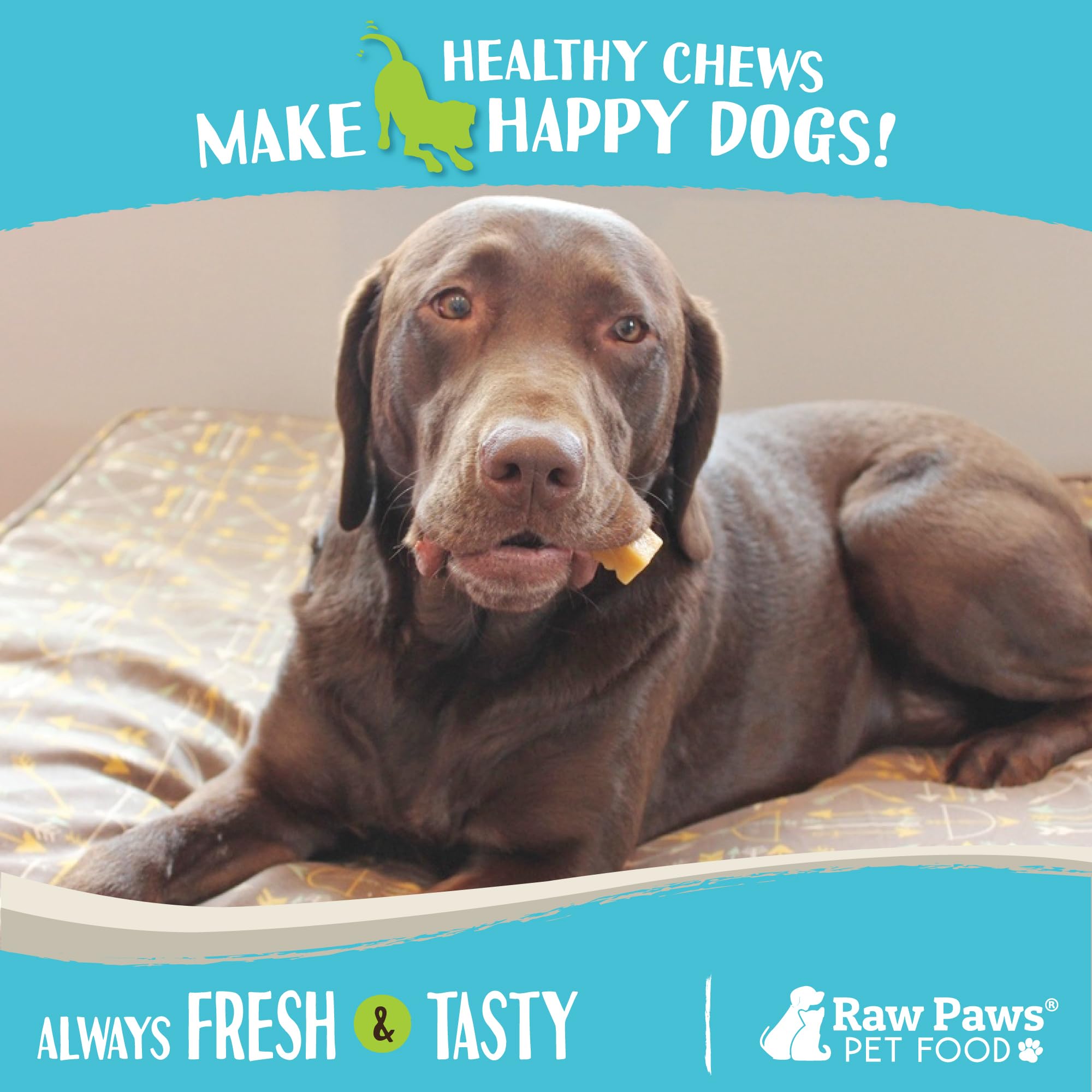 Raw Paws os yak Himalayen pour chien — faible odeur et dégâts minimes