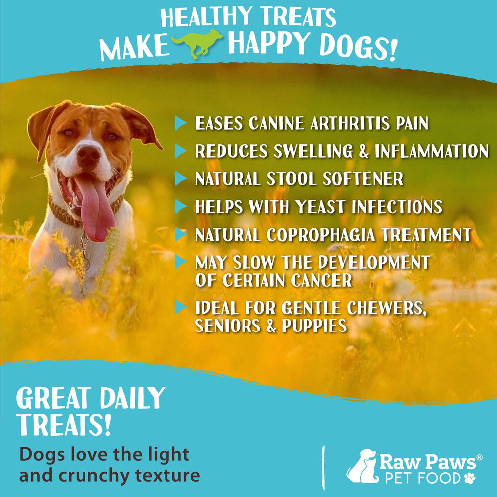 Raw Paws reduction-du-stress-tripes-agneau: morsure rassurante pouvant aider à calmer les chiens.