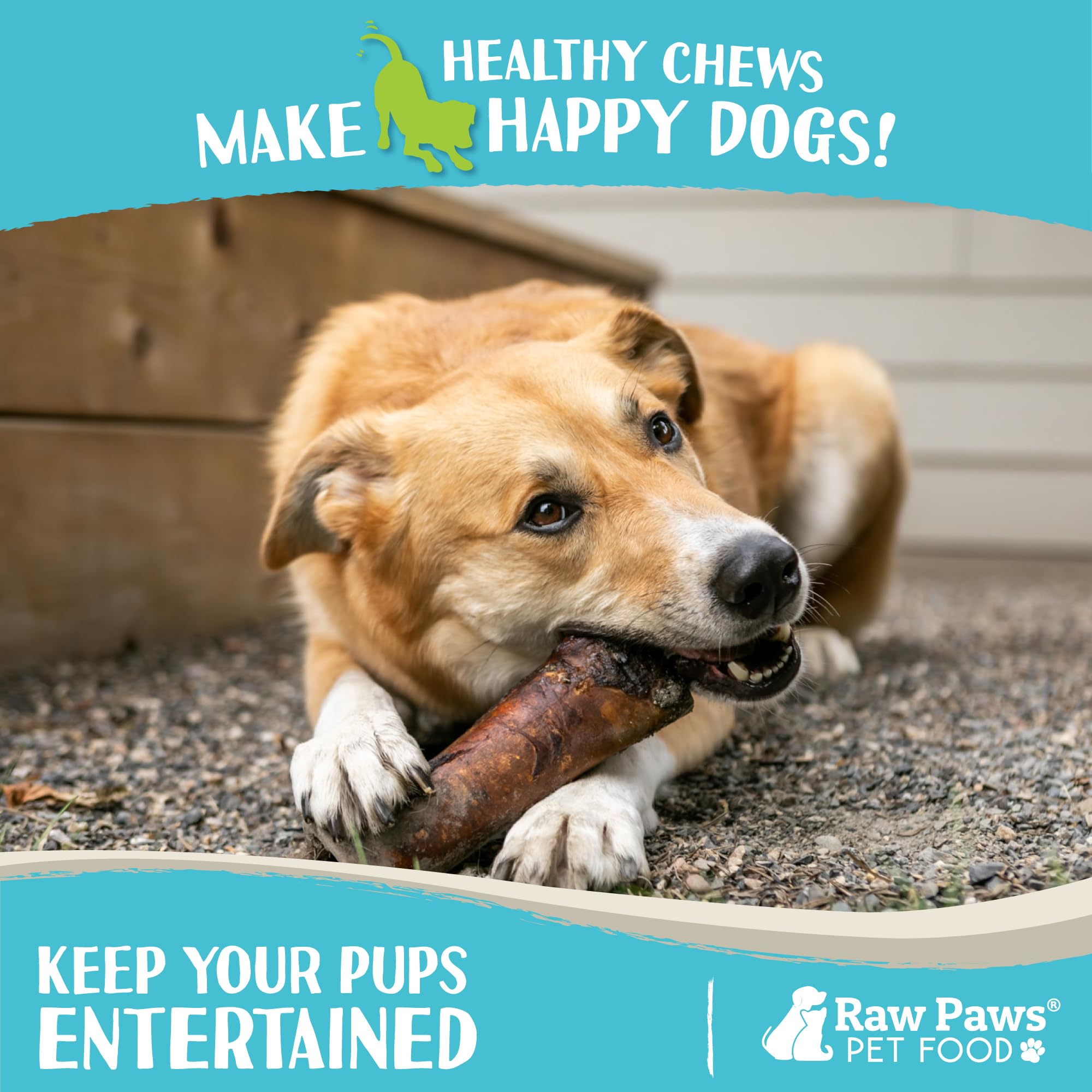 Raw Paws os à moelle pour chien, réduction du stress lors de la mastication.
