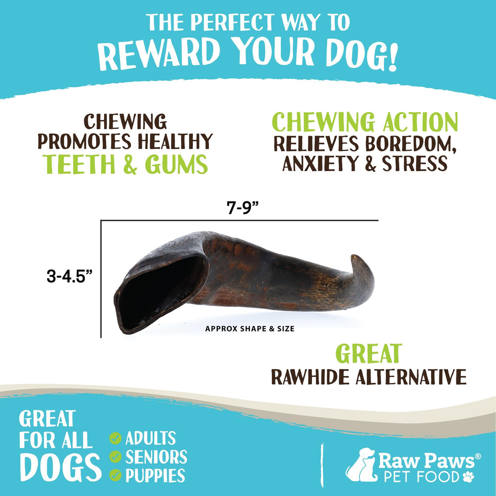 Alternative naturelle au rawhide grâce à une corne durable Raw Paws.