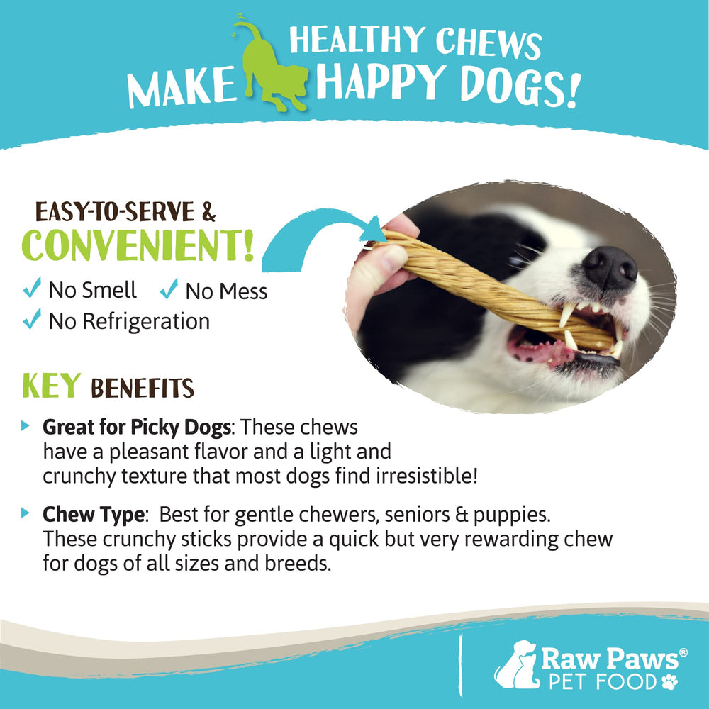 Raw Paws Tripe Twist boeuf usage quotidien pour chiot et chien senior