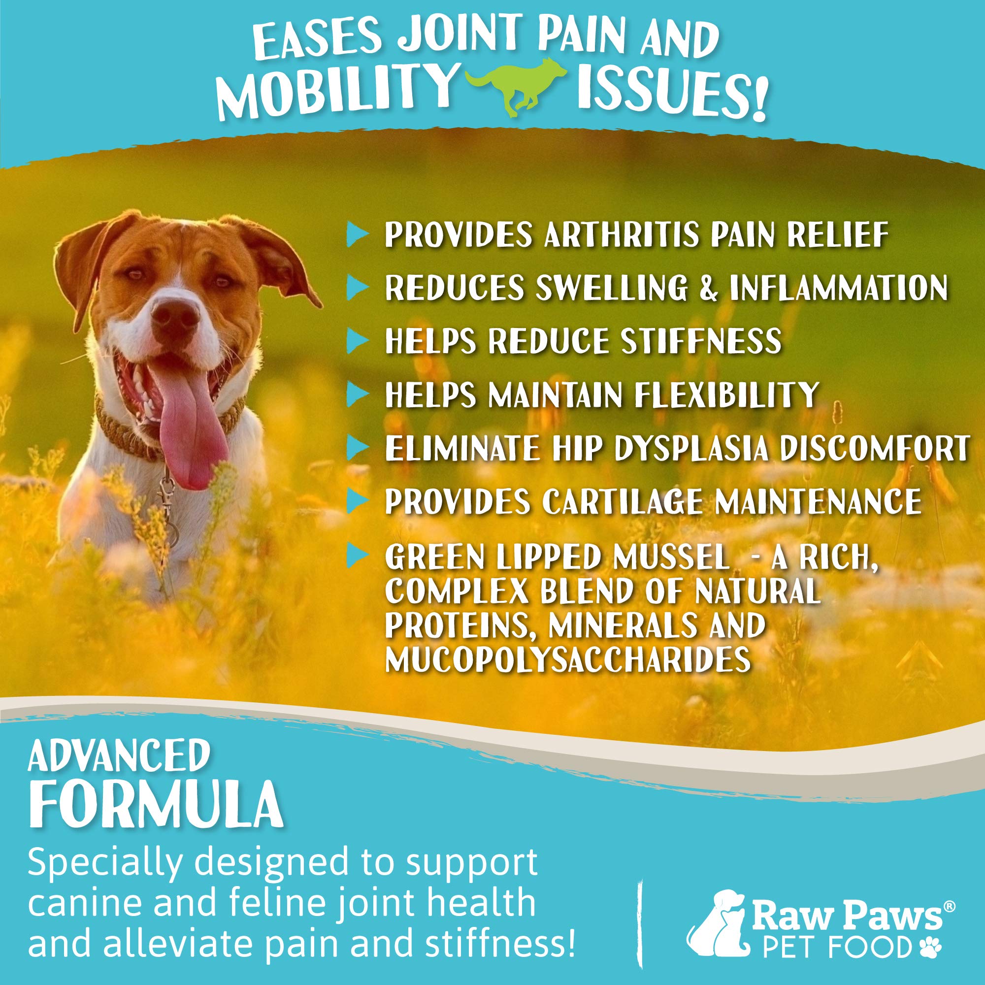 Usage quotidien Raw Paws pour chiens et chats actifs.